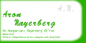 aron mayerberg business card